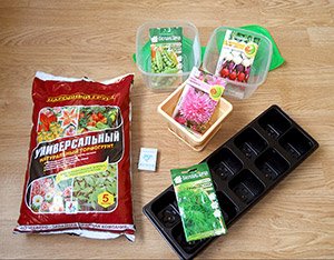 Як виростити кріп вдома на підвіконні: вибір сорту і грунту, поради по посадці та догляду