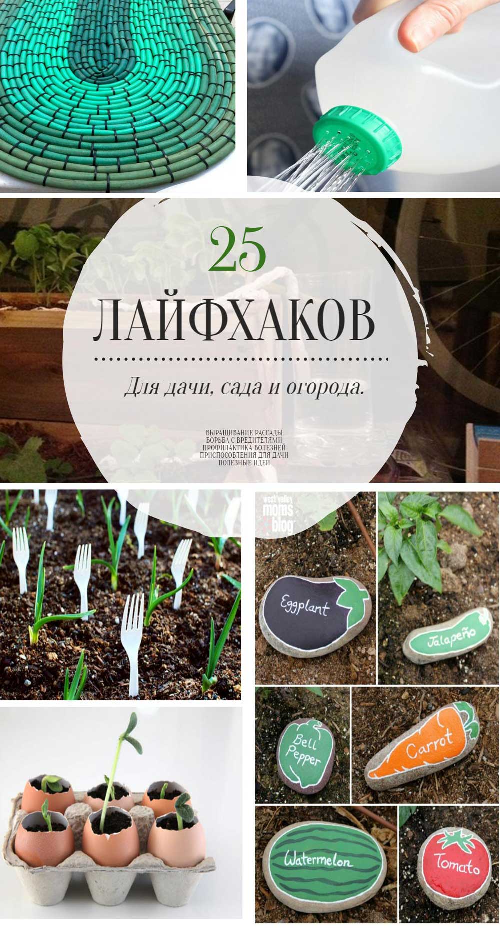 25 лайфхаков для дачі, саду та городу