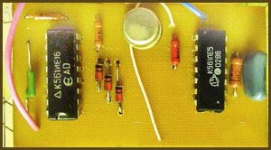 Як зібрати відлякувач гризунів, кротів)