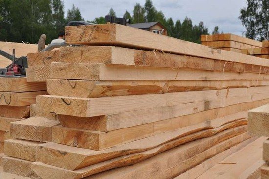 Короїд: особливості життєдіяльності та методи боротьби