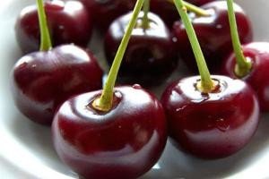 Опис універсального сорти черешні Овстуженка: посадка і правила догляду