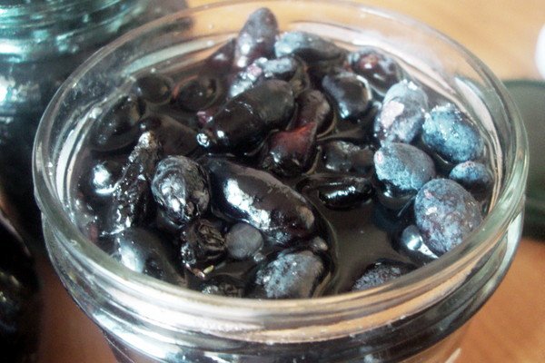 Жимолость Блакитне Веретено — їстівний сорт з високою врожайністю