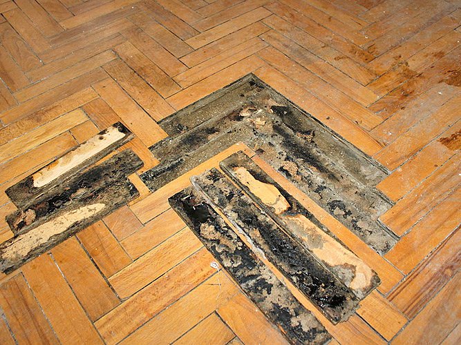 Покрокова інструкція по ремонту паркету своїми руками