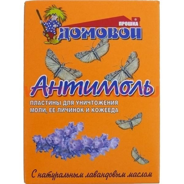 Кожеед: характеристика паразита і методи його усунення