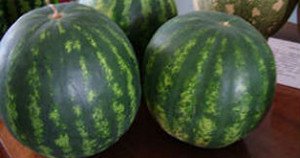 Які бувають сорти, форми і кольору арбузов: всі найцікавіші факти про найбільшу ягоді