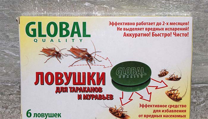 Таргани: як позбутися в домашніх умовах, засоби і отрута