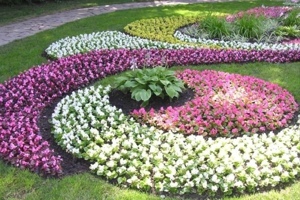 Як створити квітник безперервного цвітіння з багаторічників: схеми, покрокова інструкція, фото і відео
