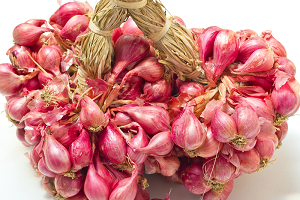 Дивовижний овоч цибуля шалот — правила догляду та вирощування