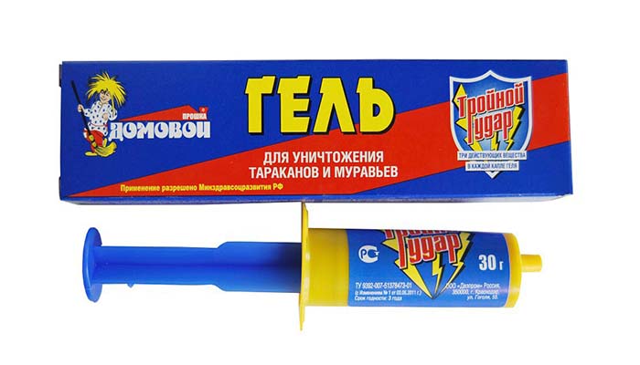 Препарати для знищення тарганів: професійні засоби