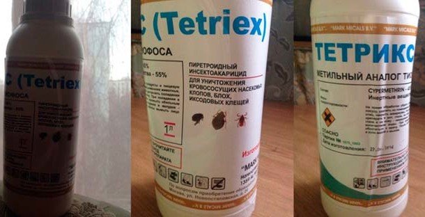 Домашні клопи   як позбутися самостійно