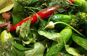 Засолювання огірків холодним способом на зиму: рекомендації і рецепти