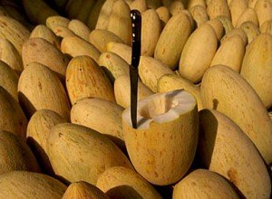 Користь і шкода дині для організму людини: властивості, склад, правила вживання і нюанси вибору