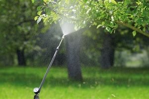 Обприскувач для дерев: огляд моделей, характеристики та поради при купівлі