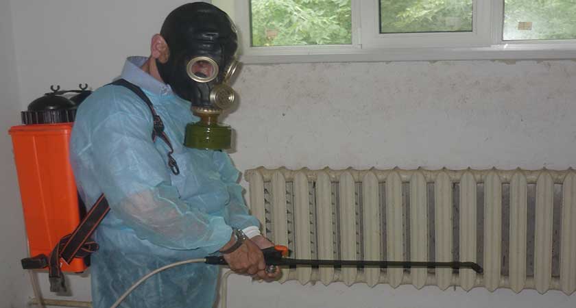 Обробка від клопів у домашніх умовах   методи та відгуки