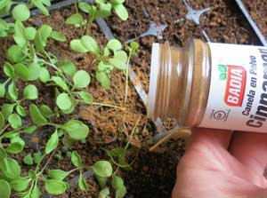 25 лайфхаков для дачі, саду та городу