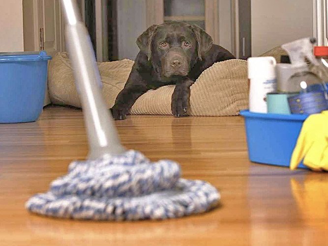 Правильний догляд за паркетною дошкою і паркетом — спосіб зберегти покриття