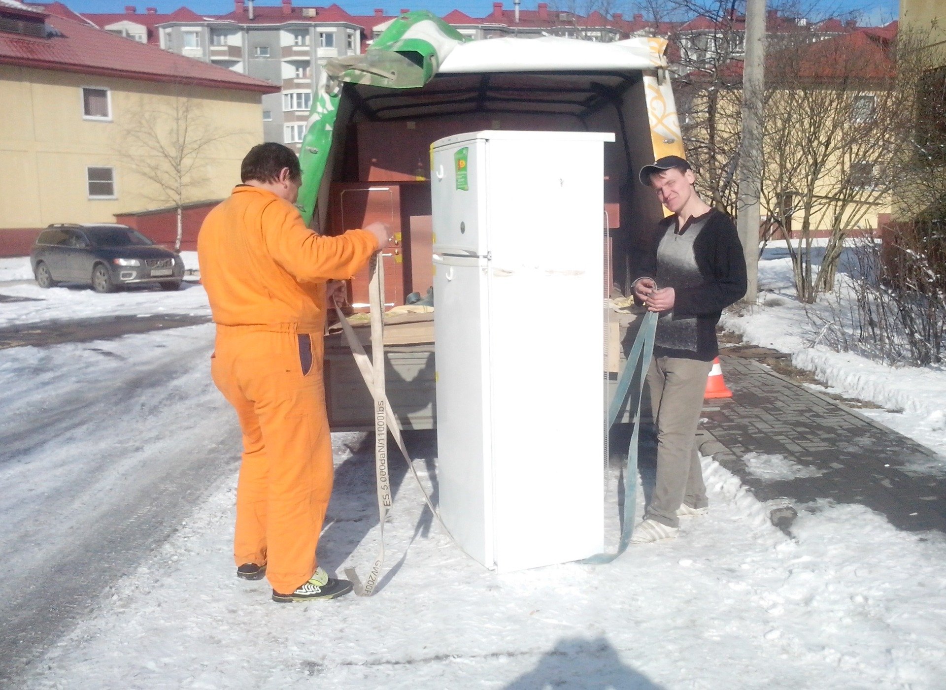 Домашні клопи   як позбутися самостійно