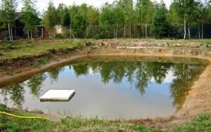 Ставок на дачі для розведення риби: покрокова технологія споруди