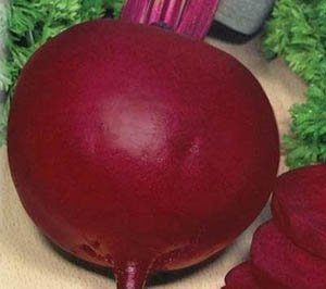 Вирощування буряків в Підмосковї: кращі сорти для відкритого ґрунту