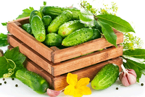 Що робити якщо зморщилися солоні огірки в банку: 4 простих правила для консервування