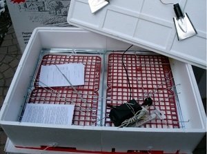 Інкубатор «Ідеальна квочка»: технічні особливості, основні переваги та недоліки