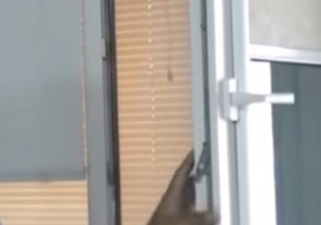 Як самостійно відрегулювати пластикові вікна: 3 основні операції, які легко освоїти кожному