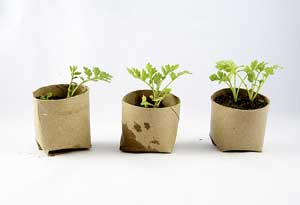 25 лайфхаков для дачі, саду та городу