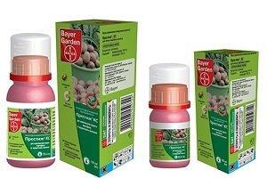 Отрута від колорадського жука — найефективніші препарати