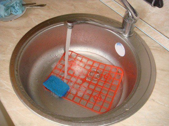 Бабочница: характеристика та методи боротьби