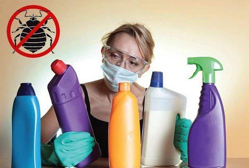 Постільні клопи фото: як позбутися в домашніх умовах Постільні клопи фото: як позбутися в домашніх умовах