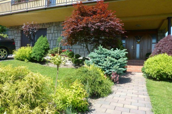 Багаторічні чагарники для саду: популярні квітучі сорти, їх особливості, назви й фото