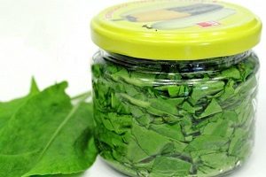 Унікальний щавель — його властивості і способи застосування