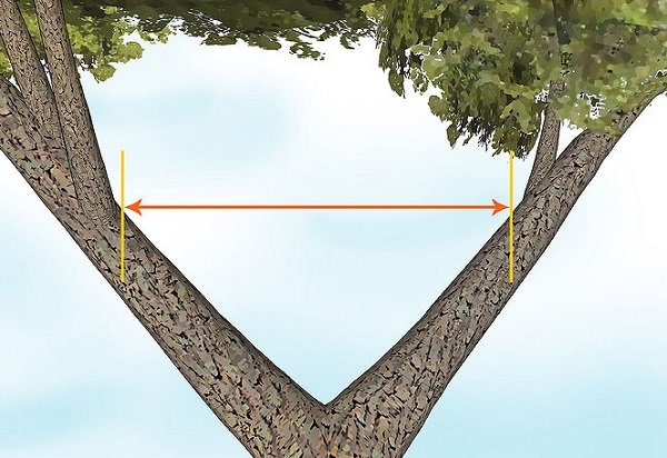 Як побудувати будинок на дереві — фото, проекти і відео