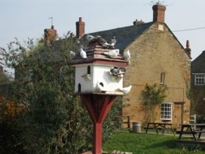 Як побудувати голубник своїми руками