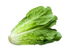 Хрусткий і соковитий салат Романо: фото, опис та корисні властивості овочу