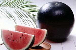 Найнезвичайніші кавуни: 6 дивовижних сортів