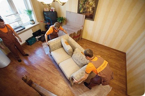 Холодний туман від клопів: що це, ціна та відгук