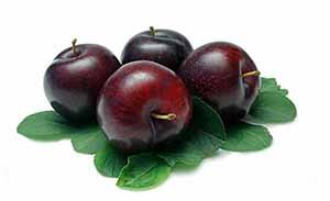 Якими корисними і шкідливими властивостями володіє зливу: особливості і сфери застосування