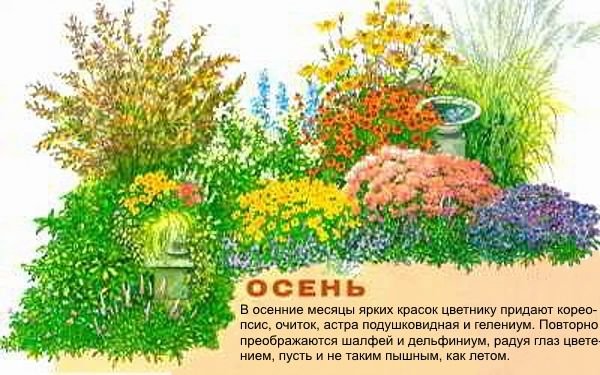 Як створити квітник безперервного цвітіння з багаторічників: схеми, покрокова інструкція, фото і відео