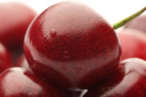 Вишня Шоколадниця: опис сорту, зовнішнього вигляду дерева і плодів