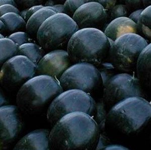 Середньопізні та пізні сорти кавунів: характеристики та особливості вирощування та зберігання