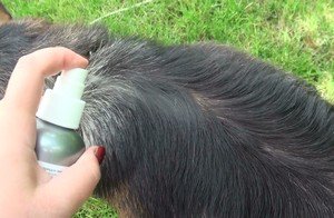 Энтомозан   інструкція із застосування, правила приготування