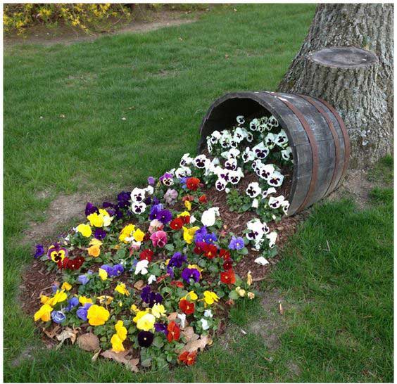 Цікаві ідеї для клумби своїми руками
