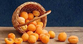 Зимостійкі і морозостійкі сорти абрикосів: опис сортів Захват, Голдрич та багатьох інших