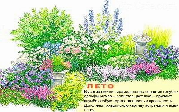 Як створити квітник безперервного цвітіння з багаторічників: схеми, покрокова інструкція, фото і відео