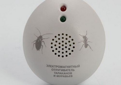 Кошти від мурашок в квартирі в домашніх умовах: препарати, народні засоби і відлякувачі