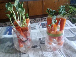 Агротехніка вирощування кавунів в Підмосковї у відкритому грунті