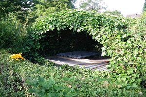 Компостна яма своїми руками: вибір правильного місця і варіанти виготовлення, поради фахівців