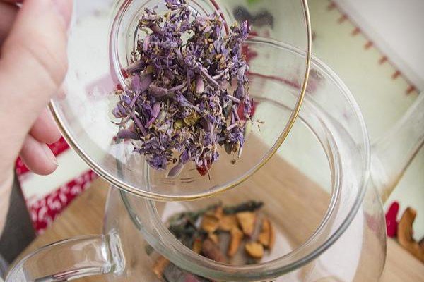 Рослина іван чай (кипрей вузьколистий): опис, склад, застосування та корисні властивості