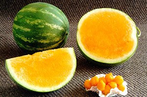 Які бувають сорти, форми і кольору арбузов: всі найцікавіші факти про найбільшу ягоді